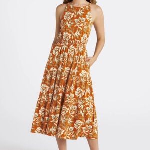 delia asymmetric raw hem cotton dress Delia Asymmetric Raw Hem Cotton Dress (Women)